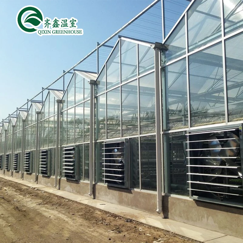 Large Vertical Hydroponic System Glass Greenhouses Agriculture