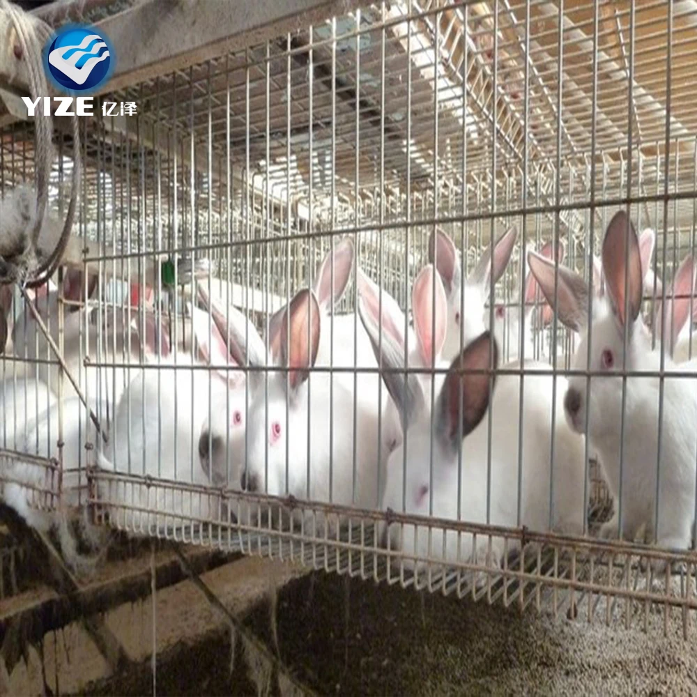 Selling galvanized welded rabbit mesh /rabbit cages indoor (Factory)