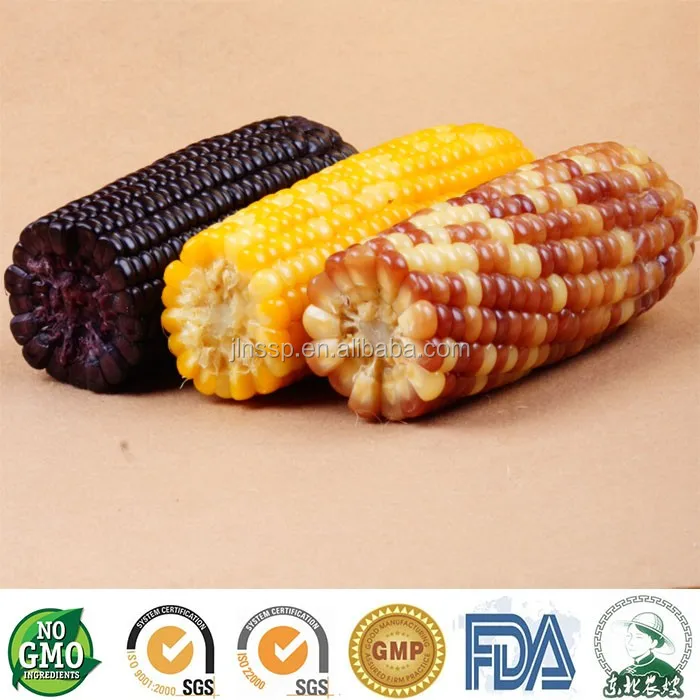 
Vacuum Packed Yellow Glutinous Corn Kernels Fresh Sticky Tender Sweet Shelf Life 18 months 