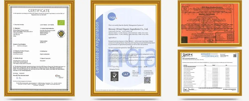 
Food/USP Grade NON-GMO Organic Pea Protein powder 