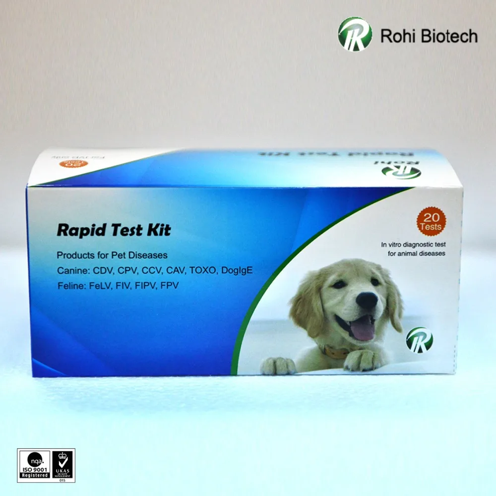 
High quality combined CDV+CIV+CAV veterinary rapid test kit/Canine Triple test kit 