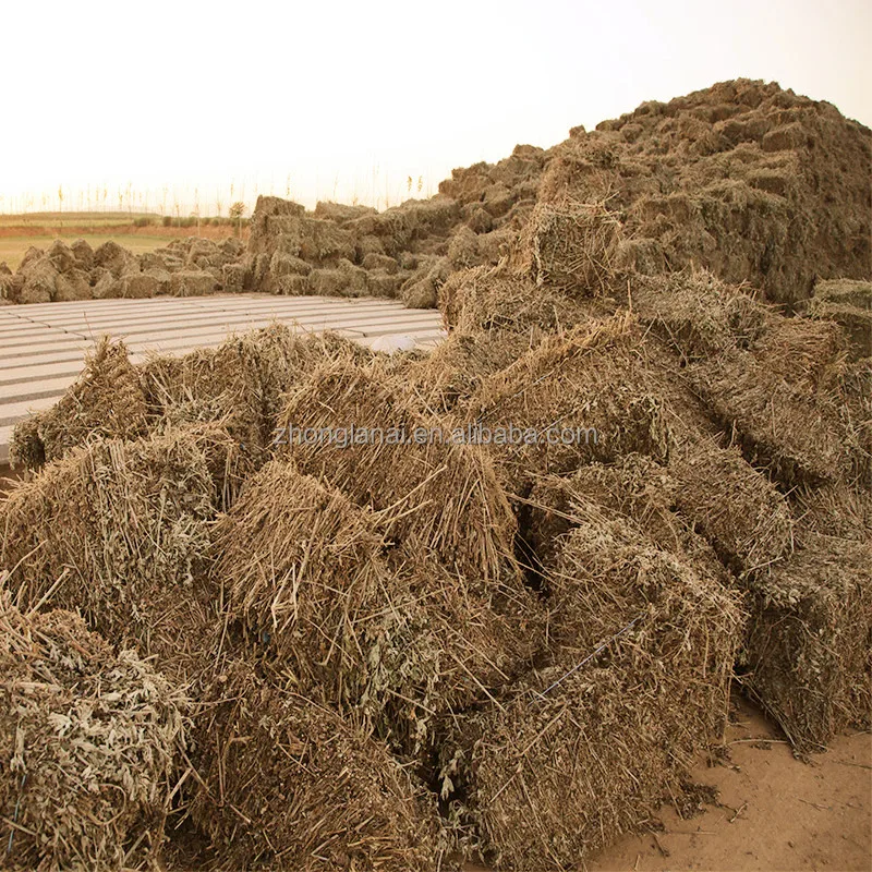 
Zhonglan natural Mugwort herb Wormwood Dried leaves moxa feet soaking foot treatment 