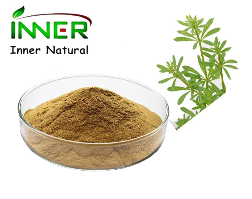 Galium aparine L. Extract Cleaver extract/Tender Catchweed Bedstraw Herb Extract 10:1