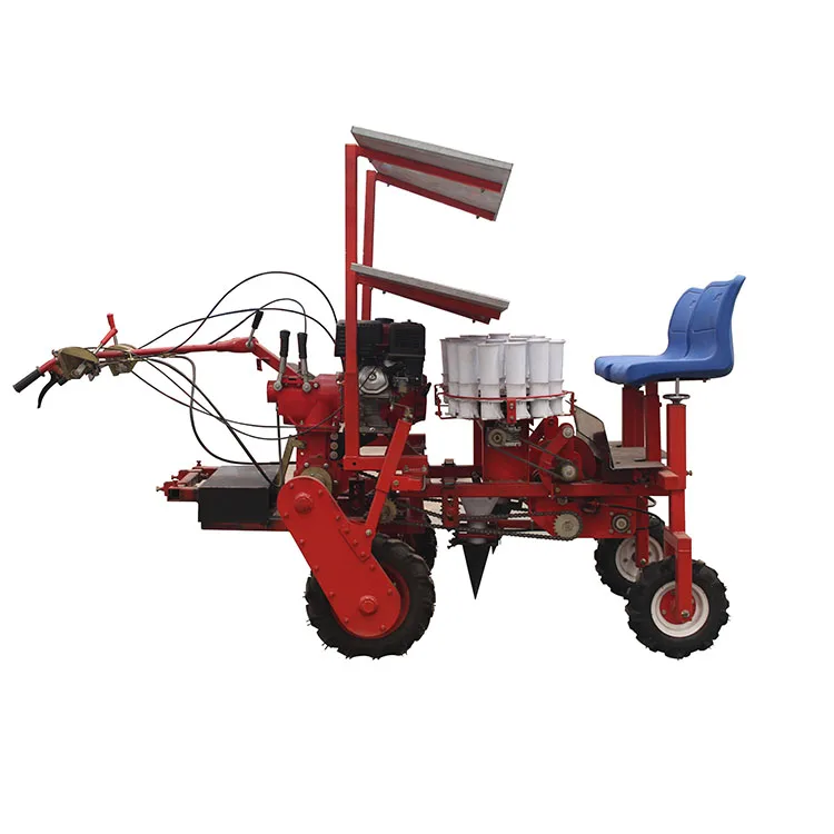 sugar beet seedlings transplanting machine eggplant seedlings planting machine cabbage seedlings planting machine