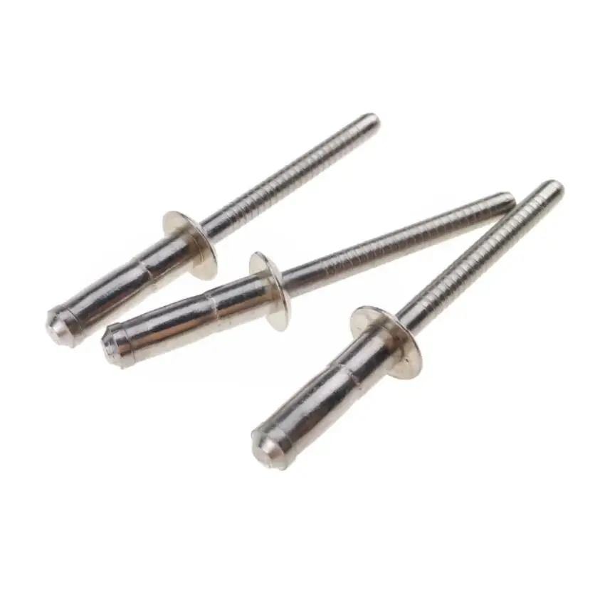 
Stainless Steel Pop Rivets Truss Head ANSI Fastener 