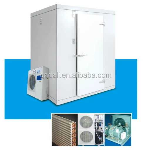 комнате морозильник, Замороженных Холодной Комнате для мяса и рыбы, холодное помещение для мяса (ZQR-12)