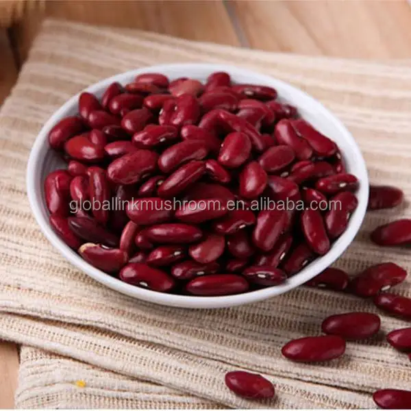 Dark red kidney bean low price
