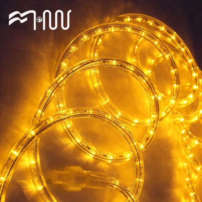 Fashion design plastic lamp led strip for sale rope light