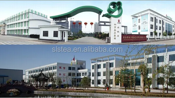 natural china green tea 3008 with cheap price