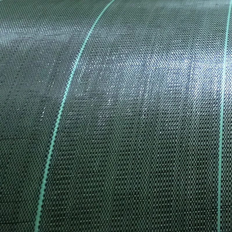 
china wholesale high quality plastic mulch layer with hole anti insect net in malaysia for airport road repair 