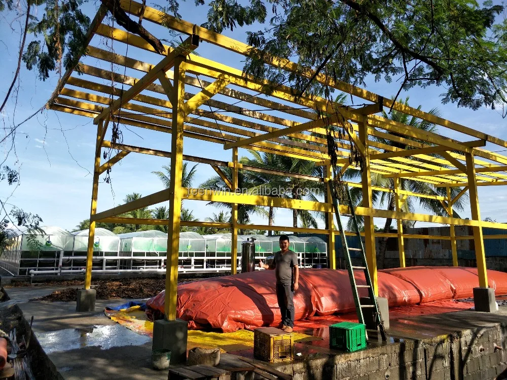 Teenwin high efficient medium size biogas plant for farms for electricity