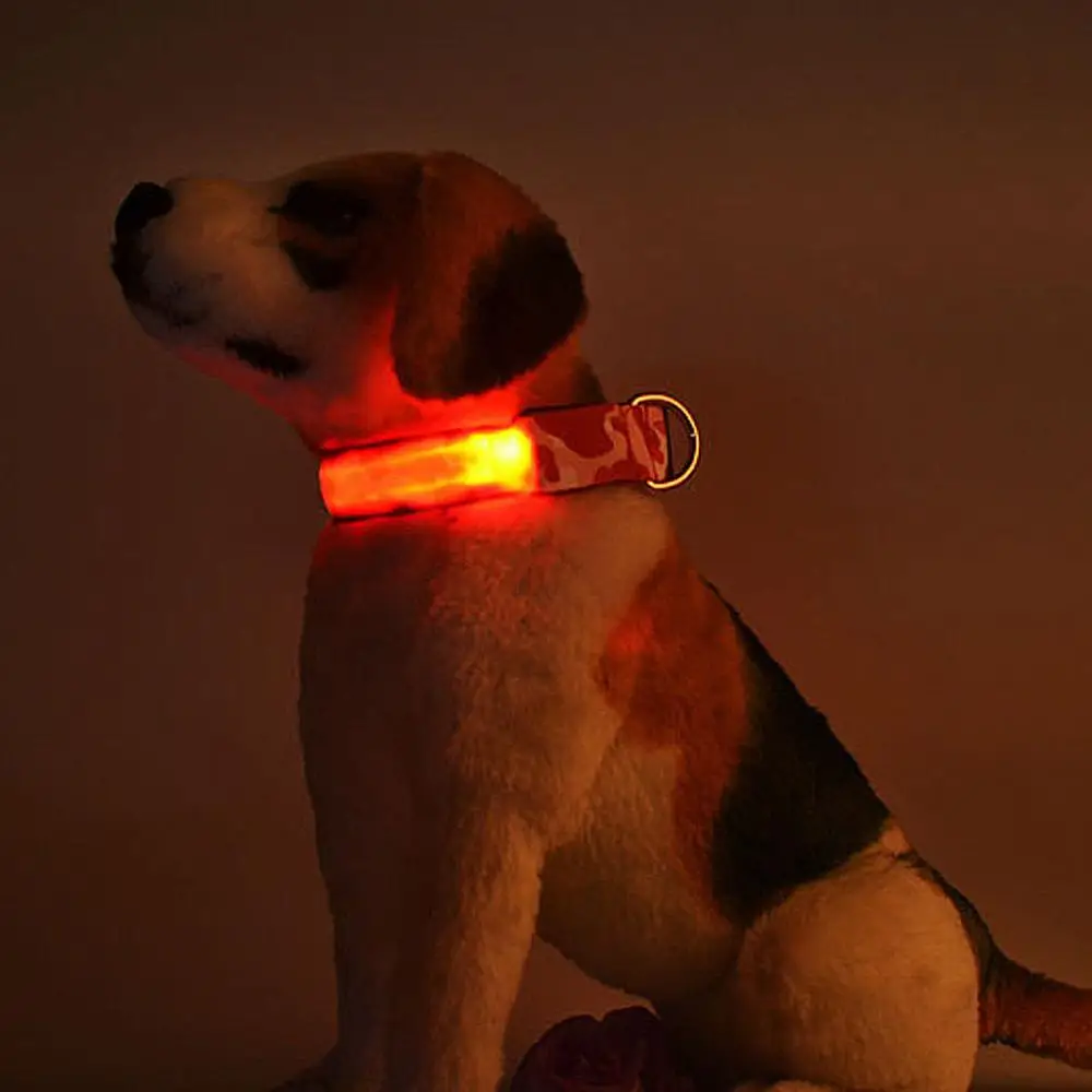 Wholesale OEM Manufacture Leading Blazin Safety Led  Pet Dog Collar Glow Luminous Flashing Lights Neck Strap