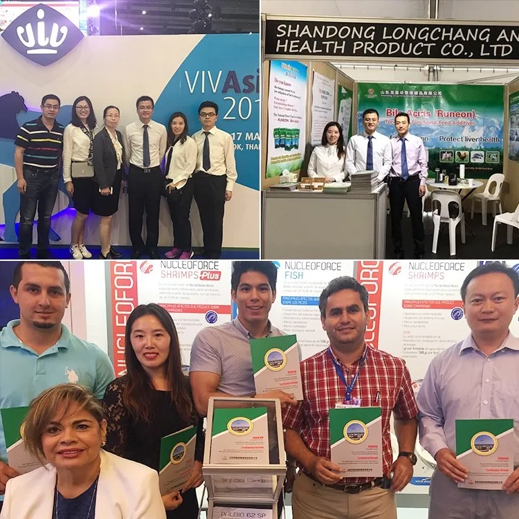 Actifier feed additive for pig growth promoter premix