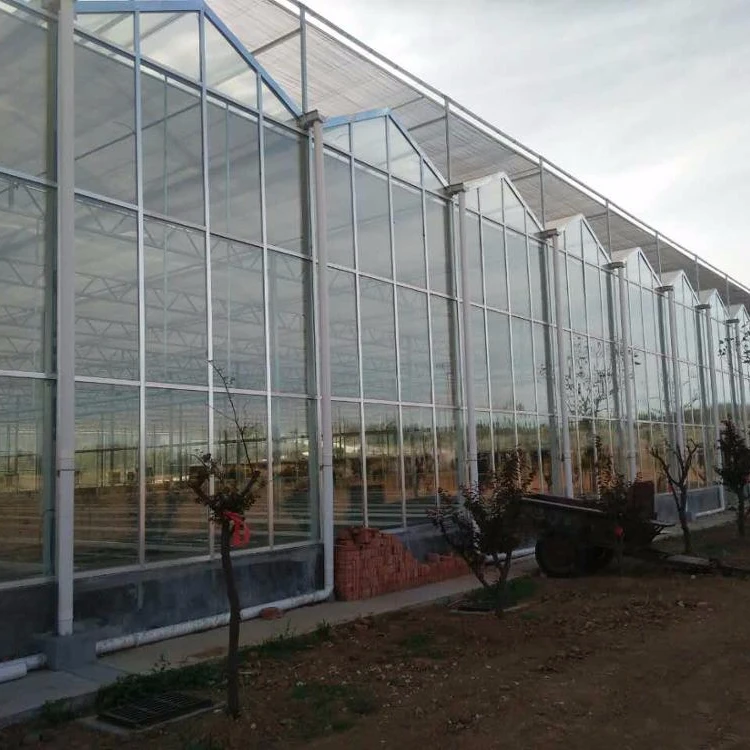 
Reliable venlo glass greenhouse with hydroponics and aeroponic system 