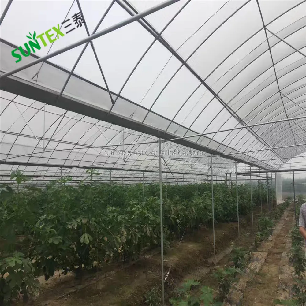 Туннельная противотуманная капельная пленка большого размера для теплицы, ширина 6 мил, 50 футов