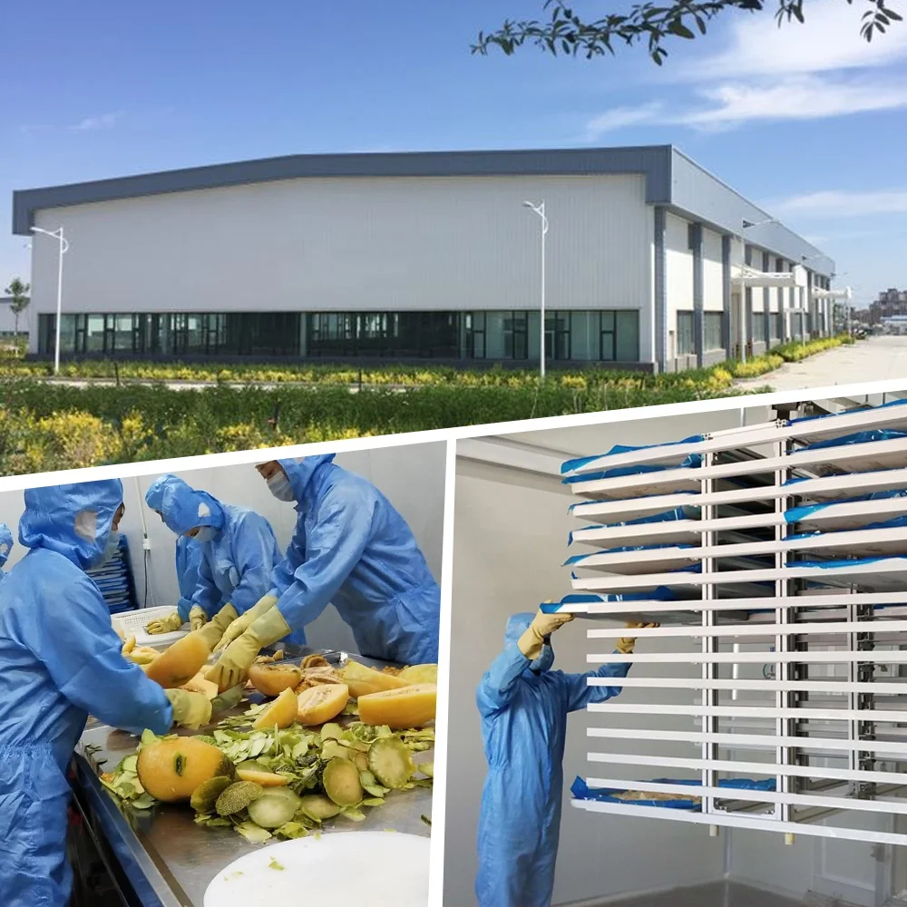 
Freeze Dried jackfruit Chips Freeze Dried Jackfruit 