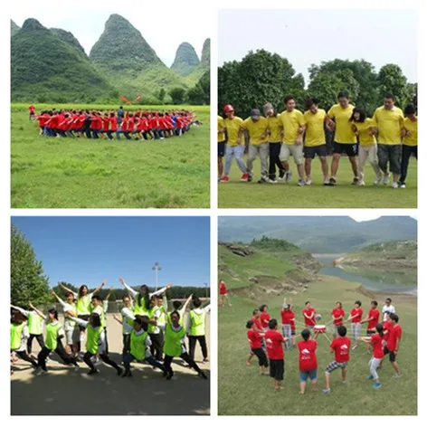 Фабричная поставка 100% натуральный высококачественный коровяк/verbascum thapsus L Extract5:1 10:1 20:1