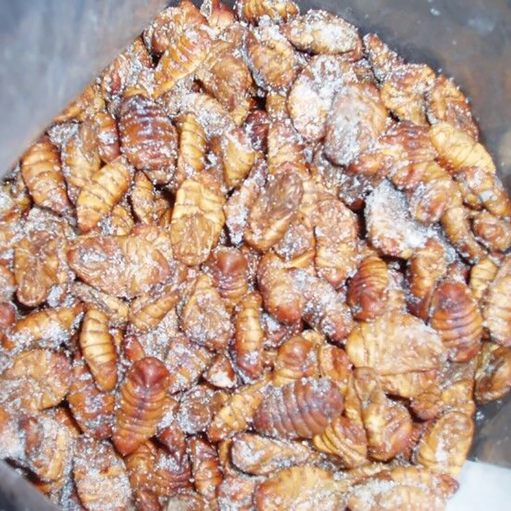 Hot sale delicious dry IQF frozen silkworm
