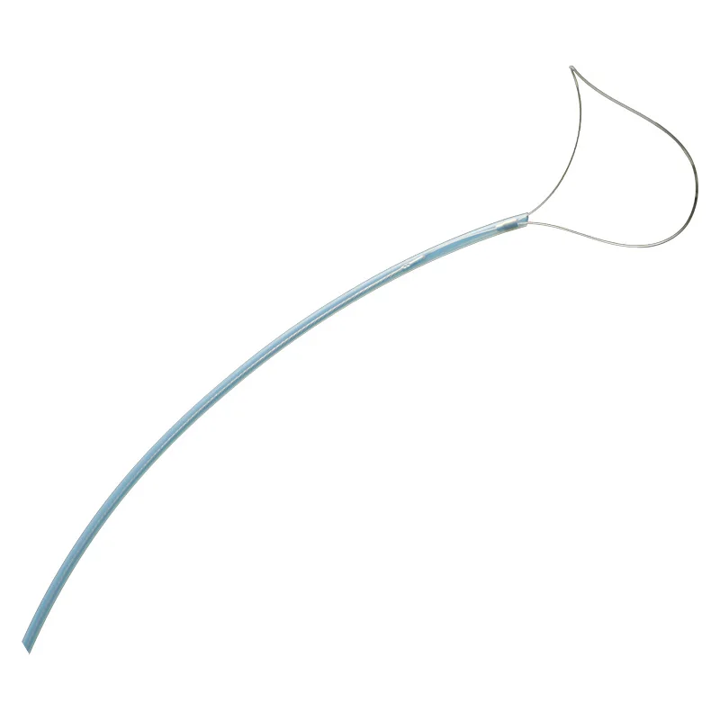 Endoscopic Electronic Polypectony Snare With Different Shapes