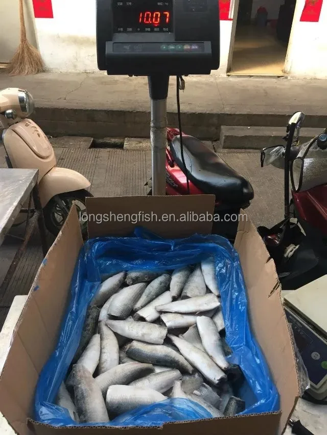 Замороженная Сардина HGT скумбрия HGT Тихоокеанская скумбрия