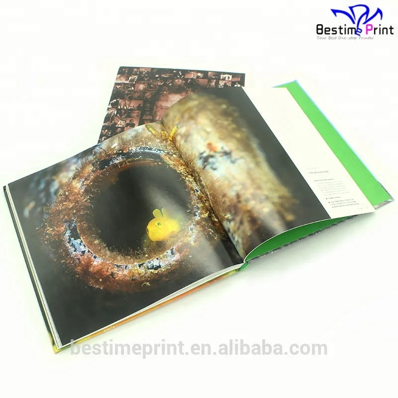 China Top Brand High Quality Book Printing Service Reliable Printing Supplier