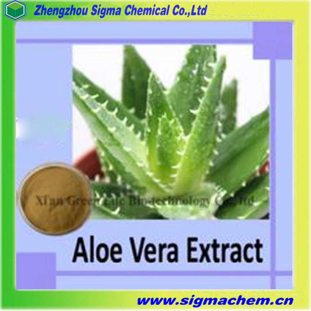 
High quality Aloe Vera dry Extract powder | CAS No.8001-97-6 | ALOES GUM 