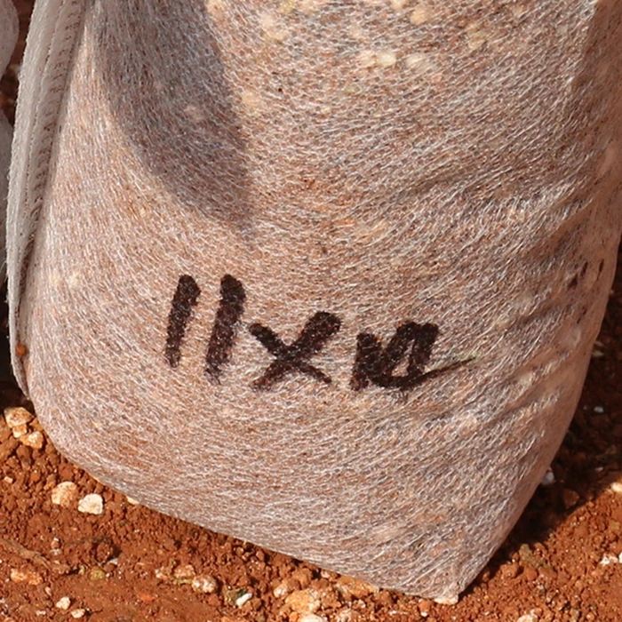 Non-Woven Fabrics Plants Seedling Bags Degradable Breeding Bag