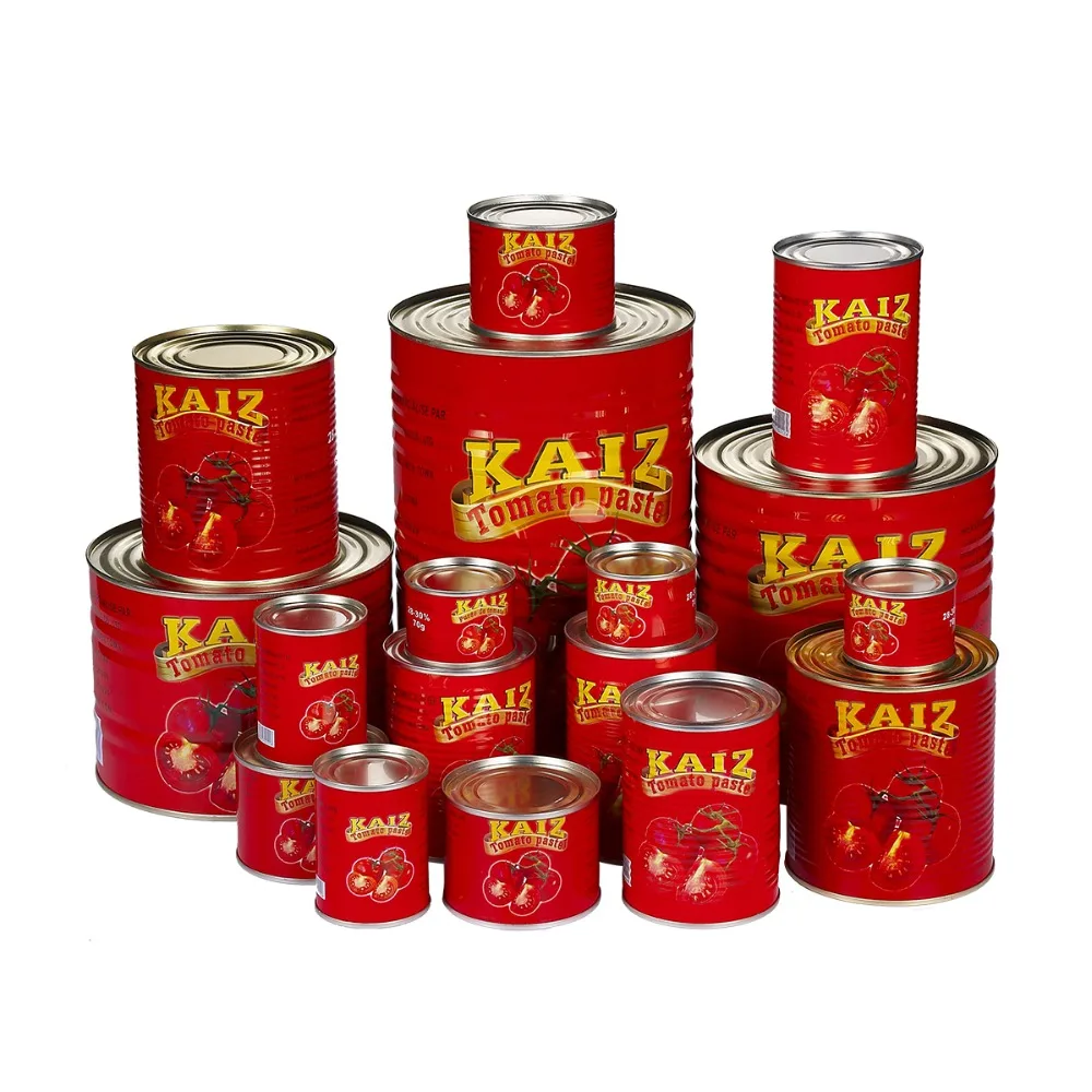 canned tomato paste factory for West Africa