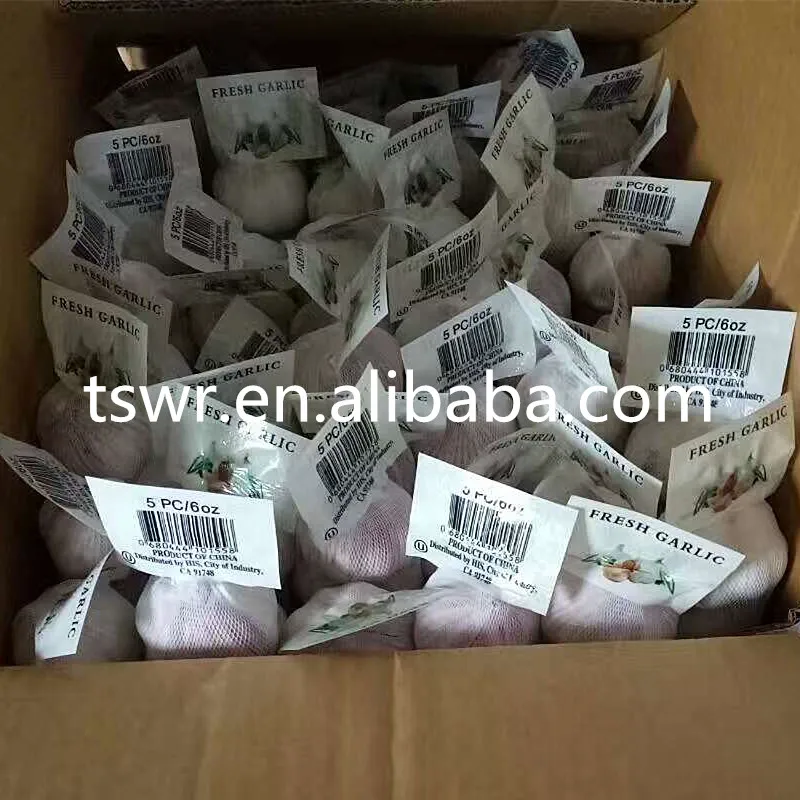 
CHINA GARLIC 2020 FRESH NORMAL WHITE GARLIC WHOLESALE 