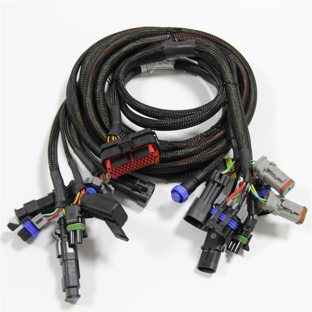 Custom Del-phi ECU Connector Del-phi Wire Harness with Amphenol Cables Connectors