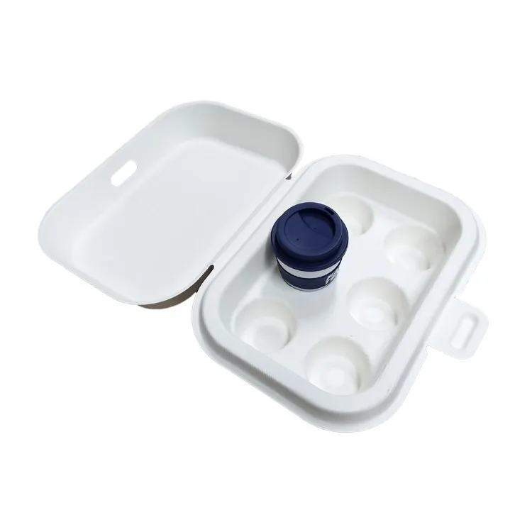 Custom biodegradable sugarcane molded pulp packaging boxes with print