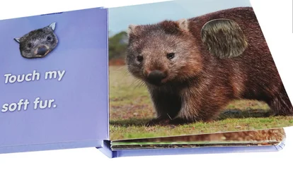 Customized Beautiful Touch and Feel Baby Reading Book Kids Toy Books