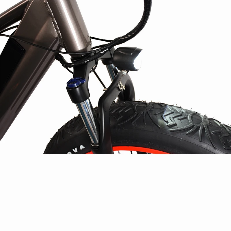
China Wholesale Chopper Electric Bike for Exercise 