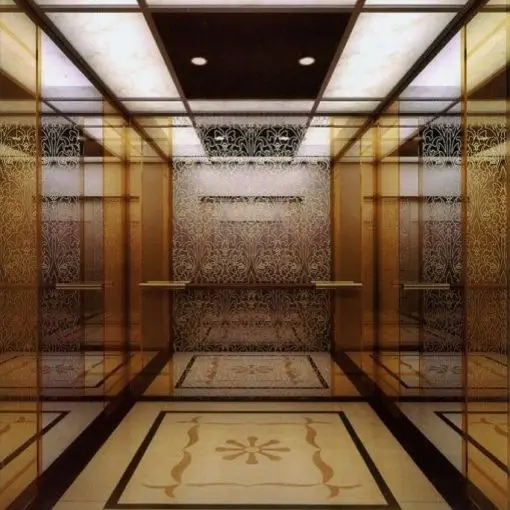 Electrical high speed outdoor passenger elevators with high performance