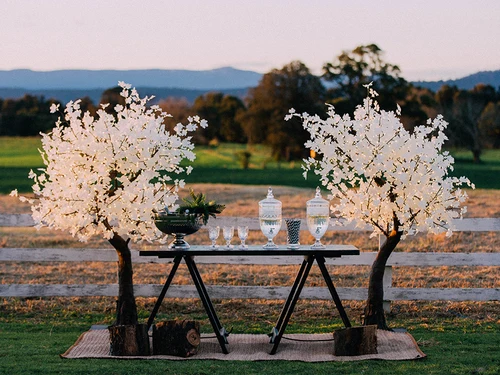 
Wholesale outdoor artificial landscape decoration lighting ginkgo LED christmas tree 