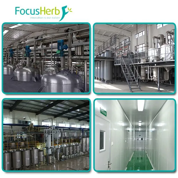 
ISO Micronized Diosmin Hesperidin,Orange Peel Extract 