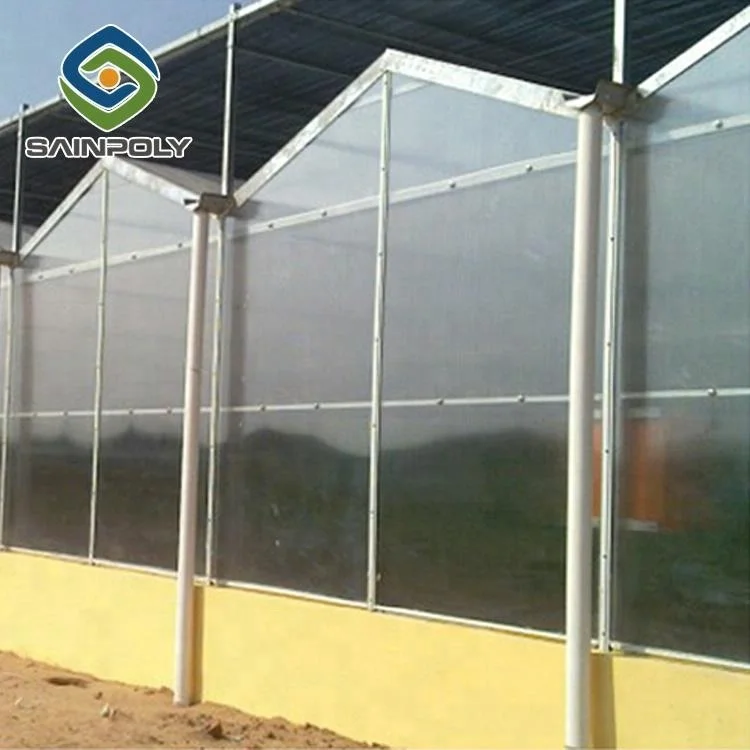 Large multi-span agricultural vertical polycarbonate greenhouse