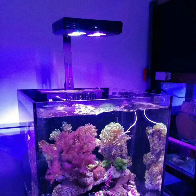 
Saltwater Aquarium Lamp A052 Touch Control LED Light 52W 12pcs led aquarium Light 