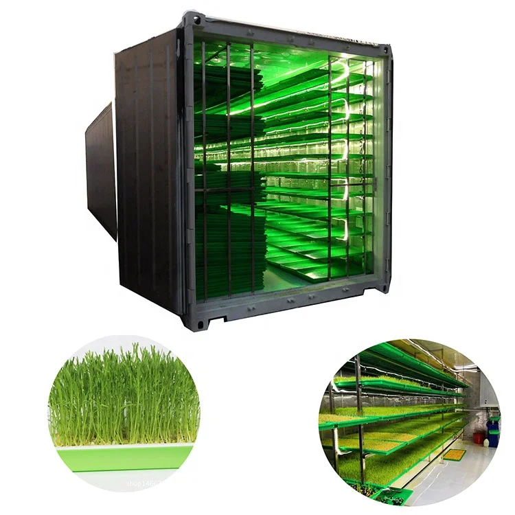 Water-saving feed machine hydroponic system container hydroponic system container seedling barley sprouting machine