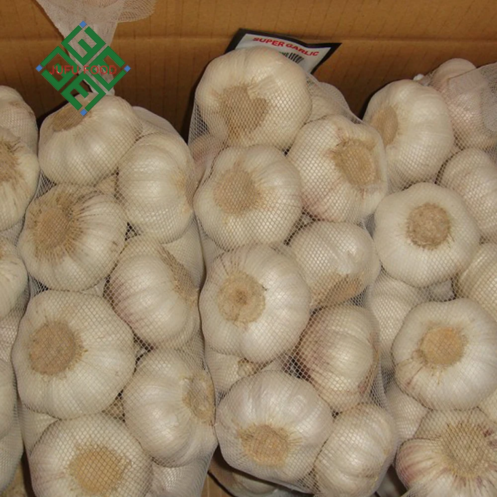 
Best quality bulk pure fresh normal white garlic 