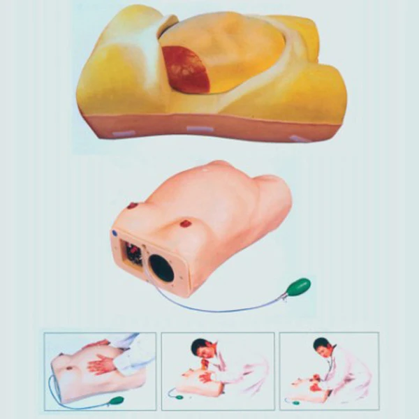 BIX-F8A  Science Hot Sale Electronic Women Examination Manikin Medical Teaching Birth Simulator Pregnant Training Model