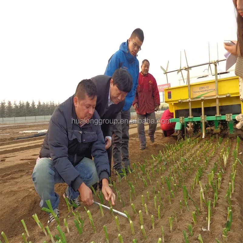 
tractor rice planting machine seedling transplanter for sale customized eight rows onion plant seedling machine manufacturer 