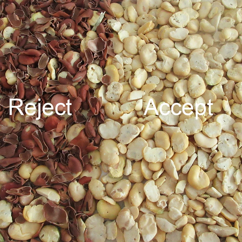 Automatic Cashew Color CCD Sorter Processing Machine