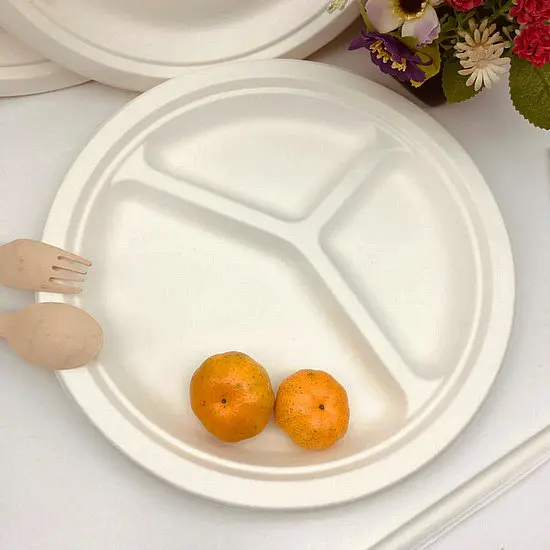 Wheat Straw Paper Plate Compostable Dinnerware Sets Disposable 9 Inches Plates