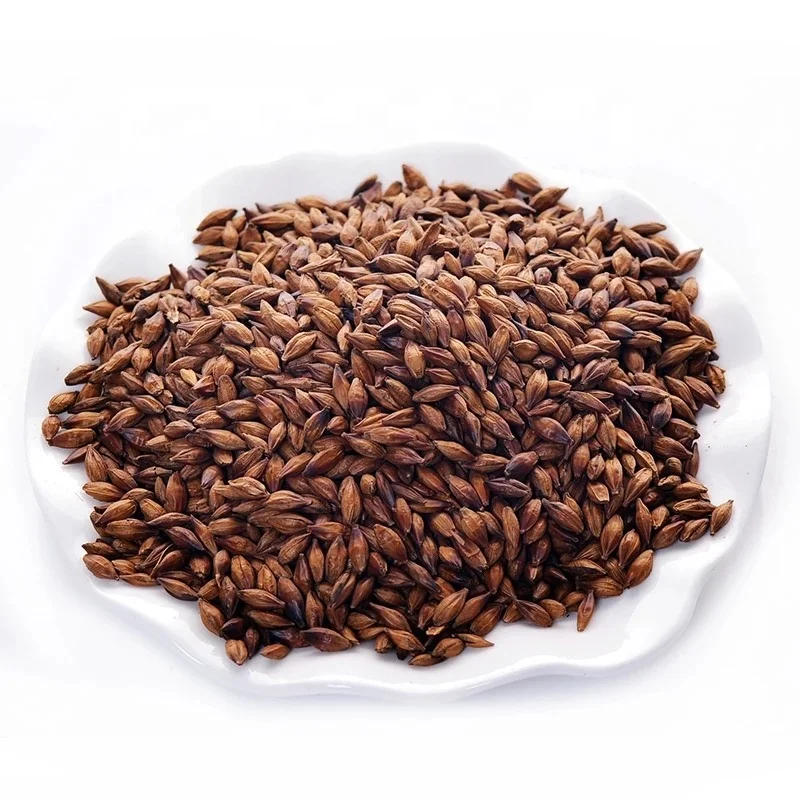 Roasted Barley Grain Tea Stir-fried Barley Malt Tea Health Grain Drink Barley Tea
