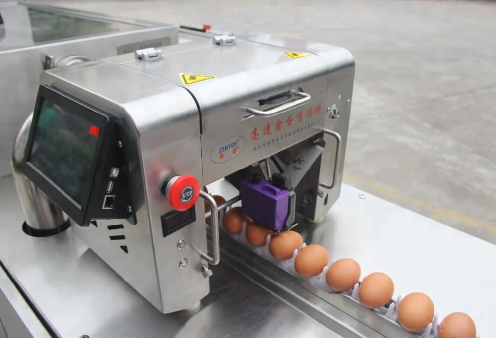 
Chicken egg washing machine egg processing equipment 