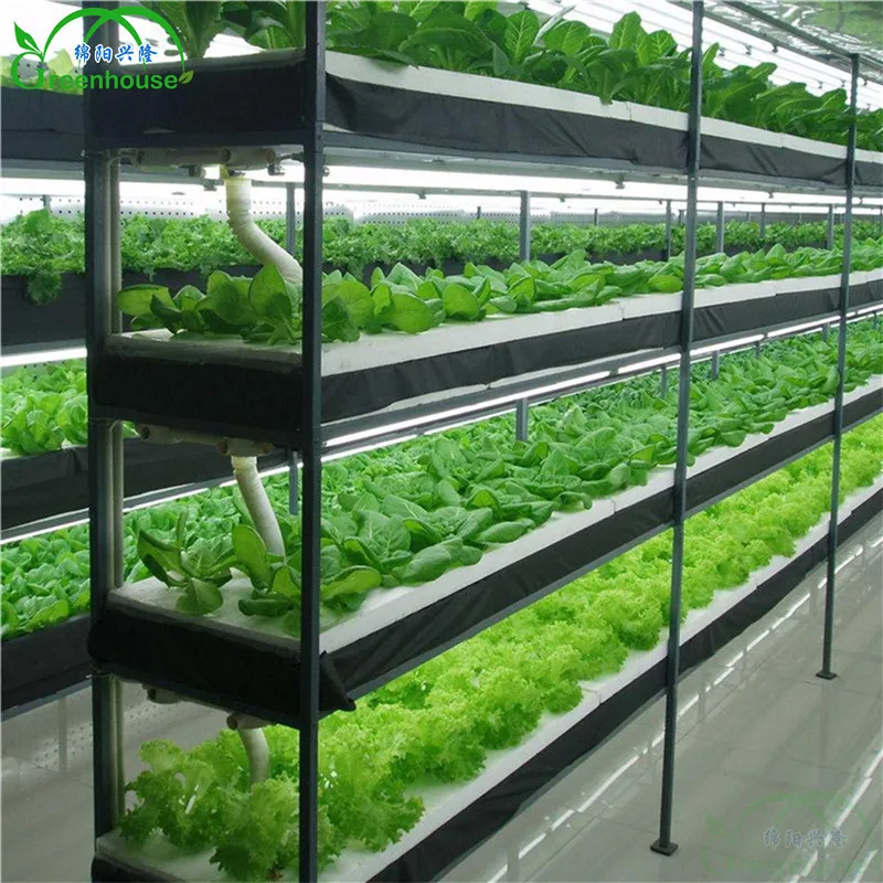 XL Multi-span Greenhouse With Hydroponic Growing Systems