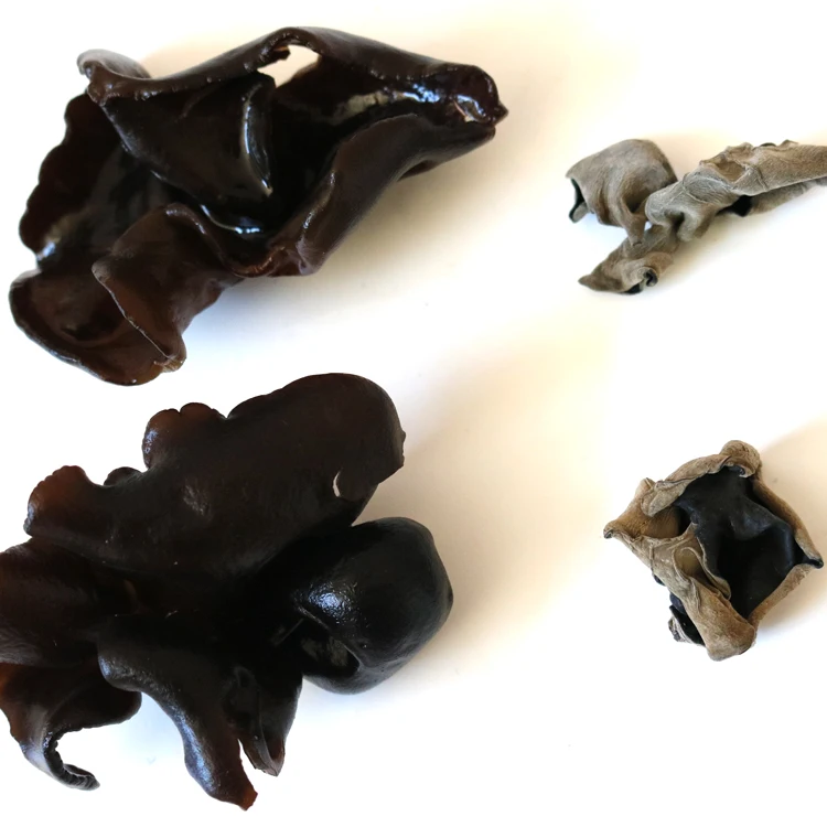 
dried polysaccharide fungus mushroom black agaric 