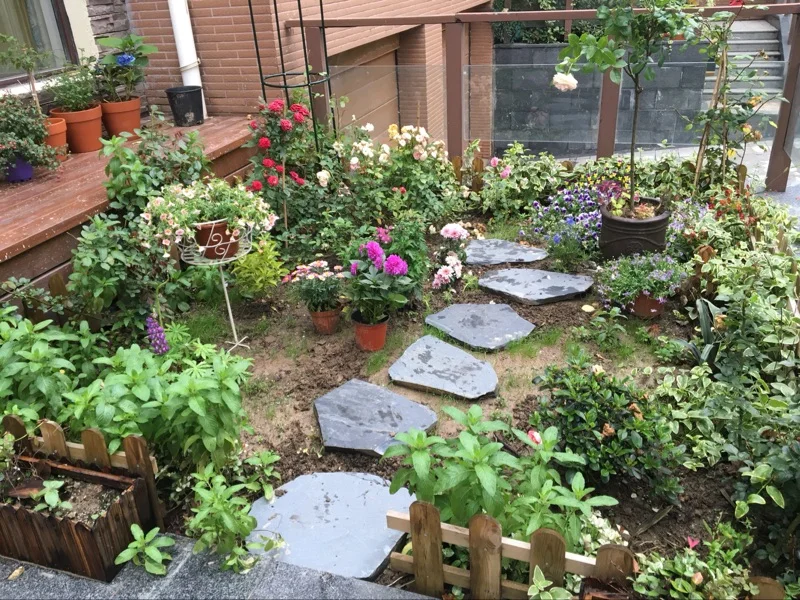 Factory Direct Sales Cheap Thick Natural Surface Outdoor Uncut Irregular Garden Slate Paving Stone