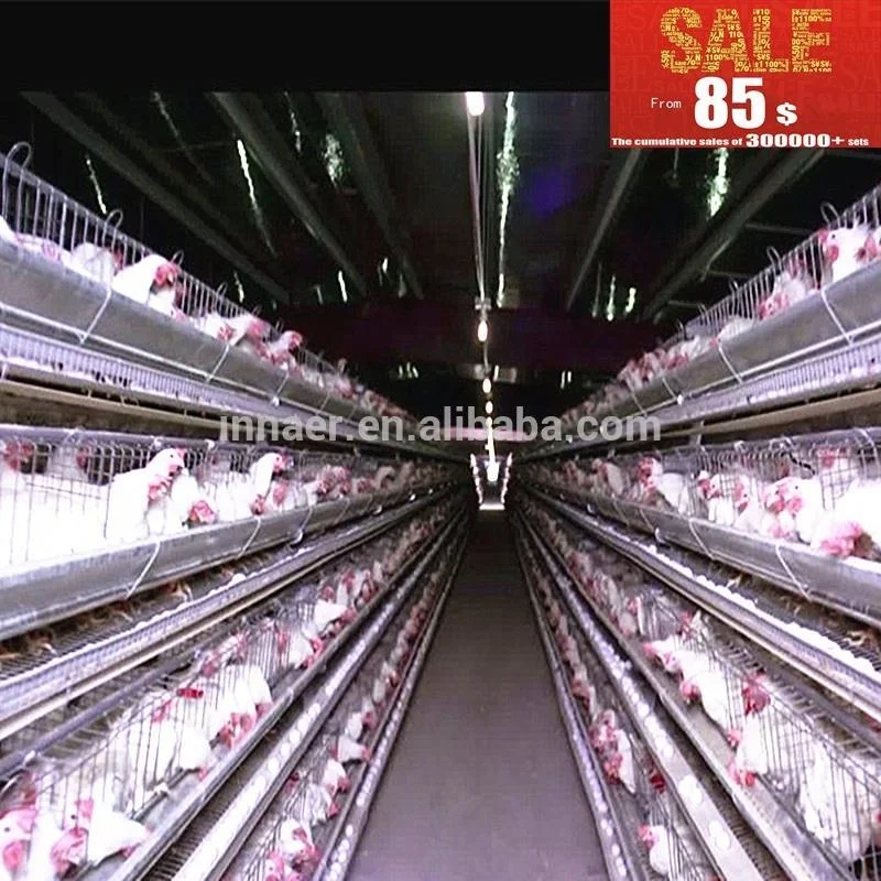 best selling second hand layer poultry cages